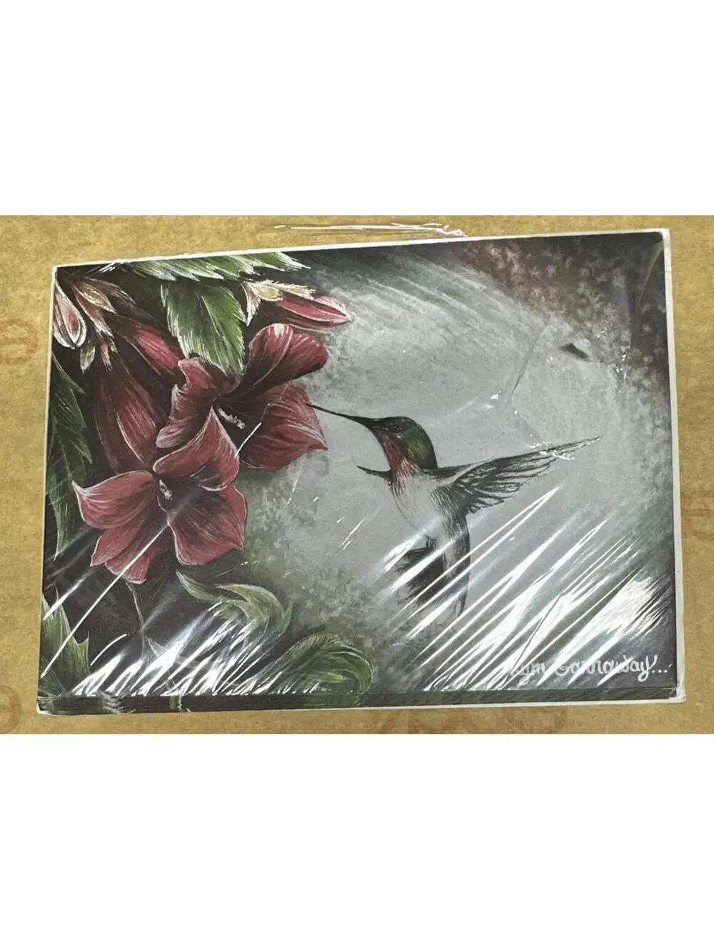 Kym Garraway Artist Hummingbird Greeting Cards 8 Pack Blank Inside USA Made